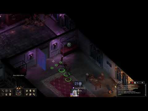 Pillars Of Eternity Deadfire - Psion-Troubadour 015 Ultimate-like test run