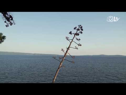 Epidemija ljubavi 8.5.2020.