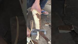 Download lagu #farming #enjoyrurallife #naturerurallife #rurallife #vegetables #garden #rogator #short mp3