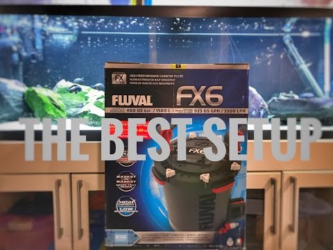 Dreams do come true: Fluval FX6