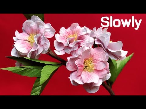 ABC TV | How To Make Double Cherry Blossom Flower With Shape Punch (Slowly) - Craft Tutorial