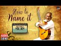 How To Name It Maestro Ilaiyaraaja Indian Western Fusion