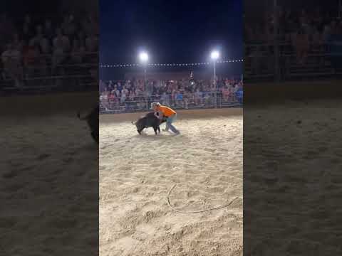 Beer Belly Boar Wrestling 💀🐗