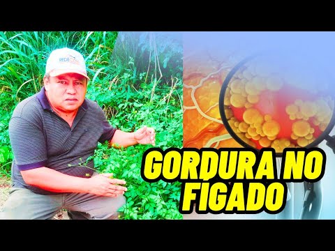 Picão Preto: Descubra Quantos Problemas de Saúde Essa Planta Pode Tratar