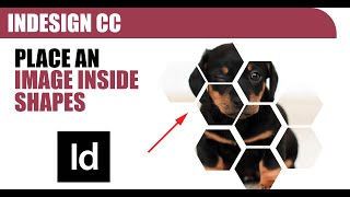 How to place an image inside MULTIPLE shapes - Adobe InDesign