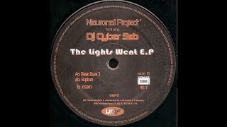 Neuronal Project - Insain (2000)
