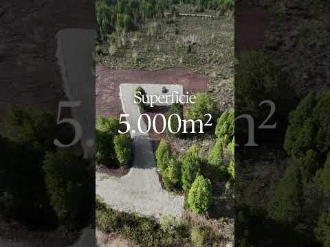 TU PARCELA EN LA X REGIÓN #calbuco #surdechile #regióndeloslagos #decimaregion #chile