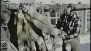 Land Beyond the Peace - PT 2 of 3