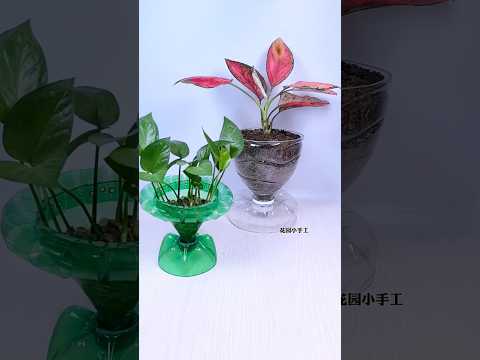 Plastic bottle are turned into flowers pots "decorate flower" part 88 #shorts #diy #plants #easy