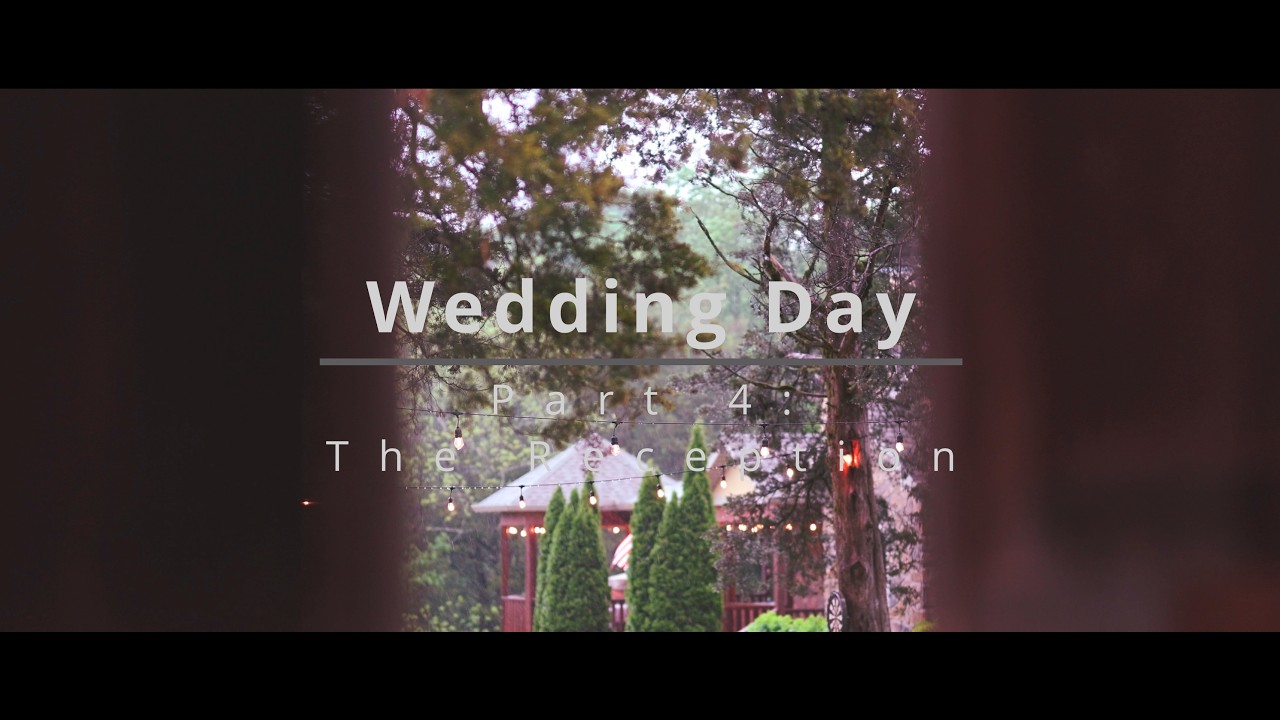 Chapter IV — The Reception