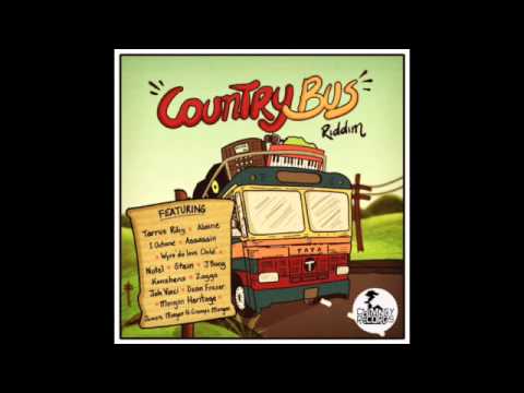 COUNTRY BUS RIDDIM MIX - ALAINE, ZAGGA, TARRUS RILEY , ASSASIN ETC | REGGAE | AUGUST 2015 |