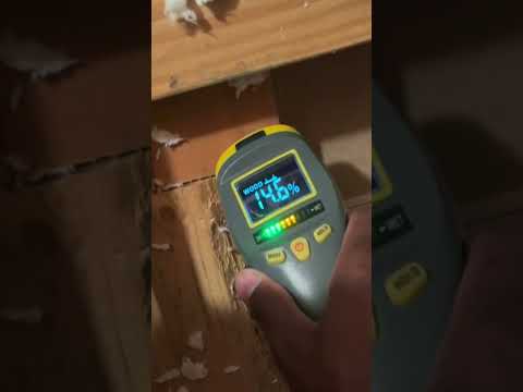 Detect moisture and prevent mold with General Tools! 😎 #moisture #moisturemeter #mold #generaltools