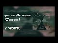 Calum Scott Leona Lewis You Are The Reason