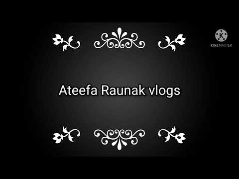 desi vlogs