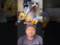 Funny Cat Comedy Funnyanimals Dog Pets Catvideos Monkey Shortsfeed Tamil Trending
