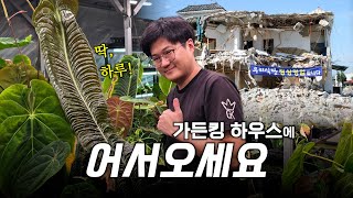 가든킹 하우스 정상 영업합니다 ㅣ 일요일에 만나요????