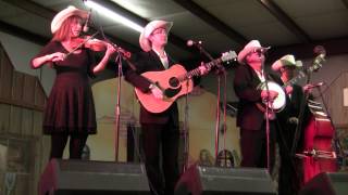 Larry Gillis &amp; His Swampgrass Band ~ Somebody Loves You Darlin
