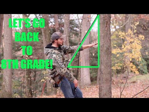 Saddle Hunting Comfort | Tips for ALL DAY SITS!!! | All in the ANGLES