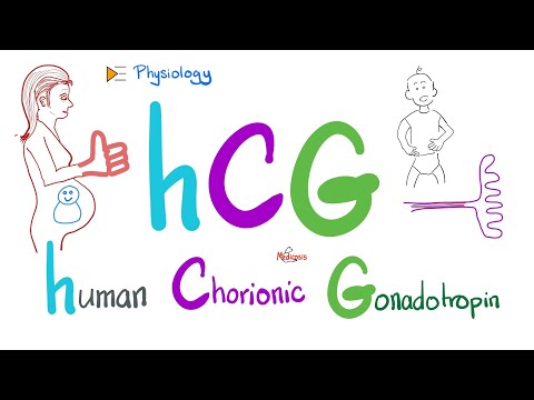 Puretrig human chorionic gonadotropin (hcg) injection 5000iu