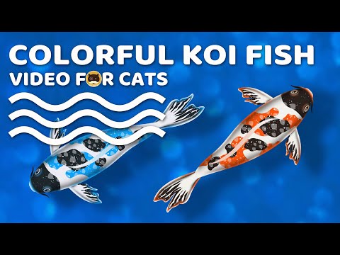 CAT GAMES - Colorful Koi Fish. Videos for Cats to Watch | CAT TV. - YouTube