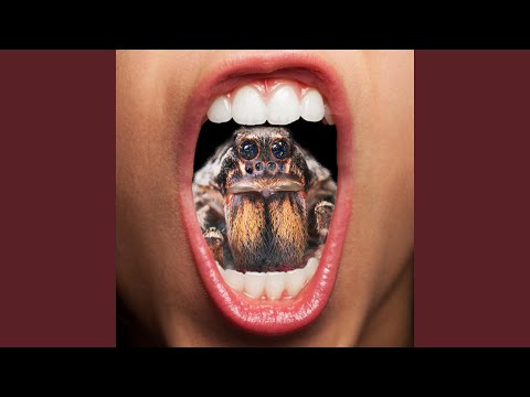Video thumbnail for Giant Spiders of the Universe