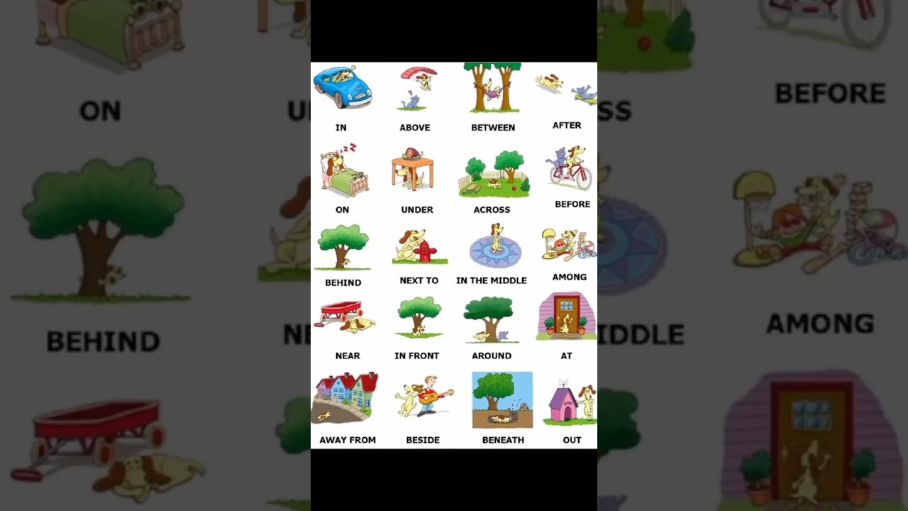 Prepositions with picture examples #grammar #englishgrammar #beginners #prepositions