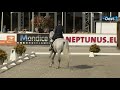 Tim Lips leidt na eerste dag Military Boekelo