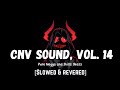 Cnv Sound Vol 14 Pure Negga And Skillz Beatz Slowed Revered