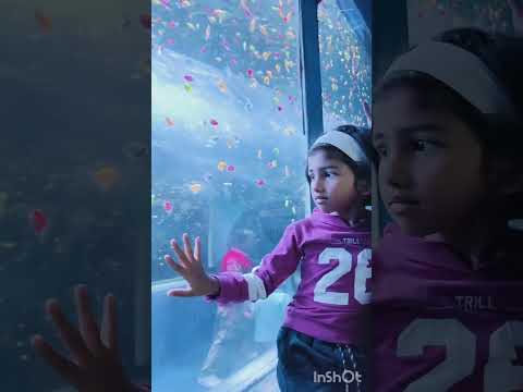 Spruha's visit to #underwaterfishtunnel @Mulund west