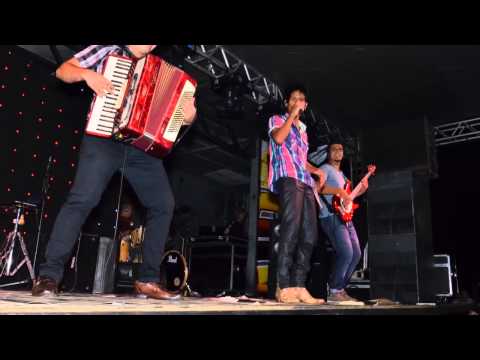 Essência do Forró - Um Degrau Na Escada