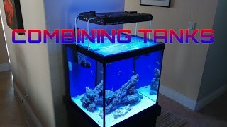 HOW TO: Setup a Marineland 27 cube Reef Tank UPDATE
