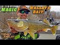 MAGIC Walleye Bait - Spring Fly Fishing Outfishes Plastic!! - Todays Angler