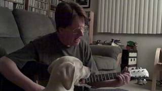 Roll With The Flow-Michael Nesmith cover