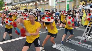 日本東北山形花笠祭，花笠舞遊行：滝山小學生，以快速旋轉花笠為特點。