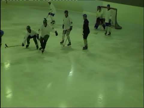 KAUKALOPALLO SM 55V JYVÄSKYLÄ 2006 HURJAT VESA 2 3