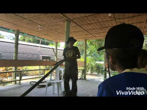 092655 ows ows ows team