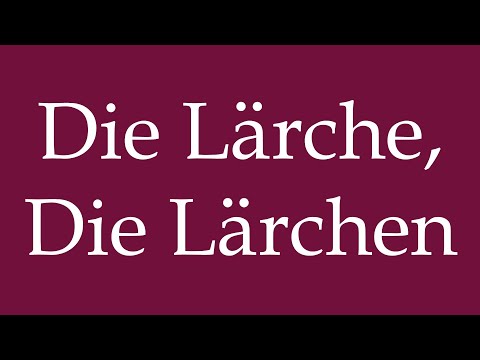How to Pronounce ''Die Lärche, Die Lärchen'' (The Larch, The Larches) Correctly in German