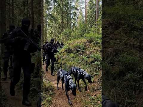 Everyone Was Searching But Nobody Found Them