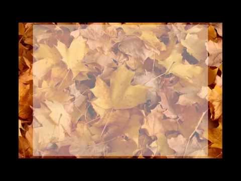 Huckleberry Friends - Podzimnění