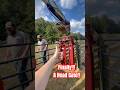 Finally!! A Head Gate to work our cattle. This has been long overdue but we finally got it done!