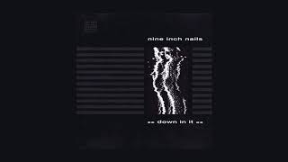 Nine Inch Nails - Down In It (Skin)