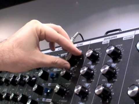 The Eric Levy Moog Interview