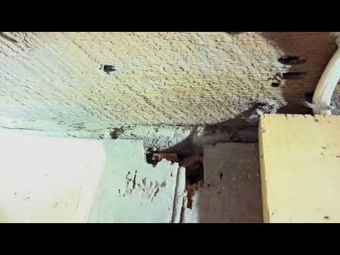 Ants Are Starting to Creep Out in Montgomery, NJ