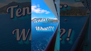 Tendering from Navigator of the Seas to Catalina Island Explained!