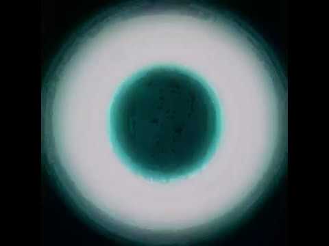 Nicolas Bougaïeff - Thalassophobia