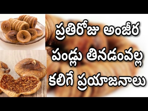download lagu mp3 mp4 Anjeer In Telugu, download lagu Anjeer In Telugu gratis, unduh video klip Anjeer In Telugu