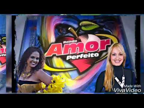 Banda amor perfeito vou embora