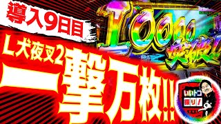 いいトコ撮り！ vol.1  