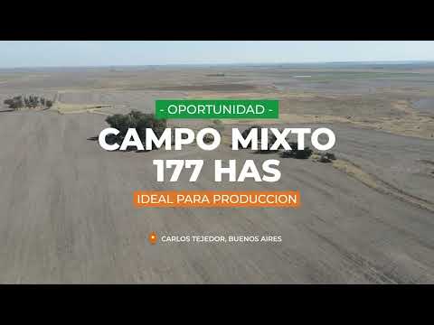 CAMPO MIXTO EN CARLOS TEJEDOR DE 177 HAS - EXCELENTE RENTA