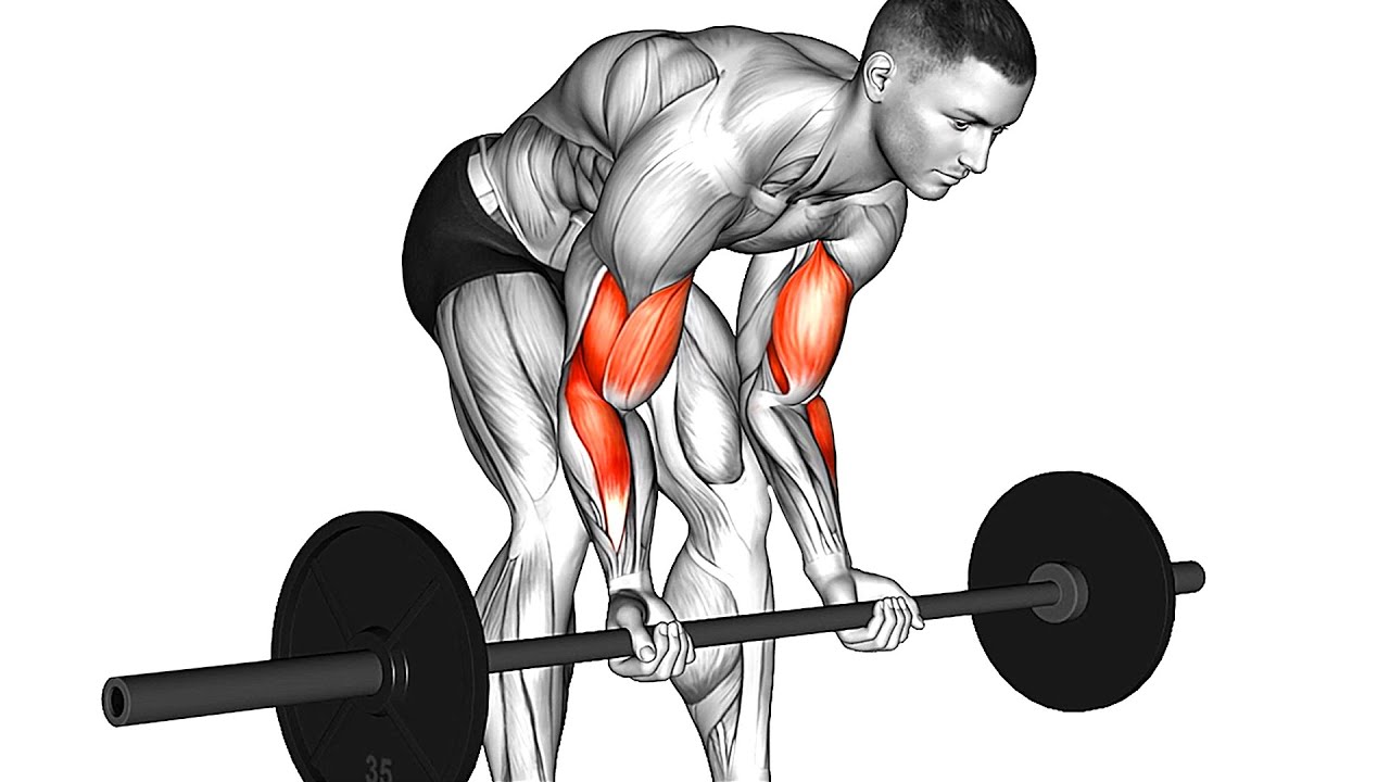 The Best Biceps Exercises (Barbell Only)